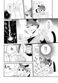 (RTS!!13) [Rototika (Kamishi Yue)] Iwachan no Neko ni Naritai 6 (Haikyuu!!)