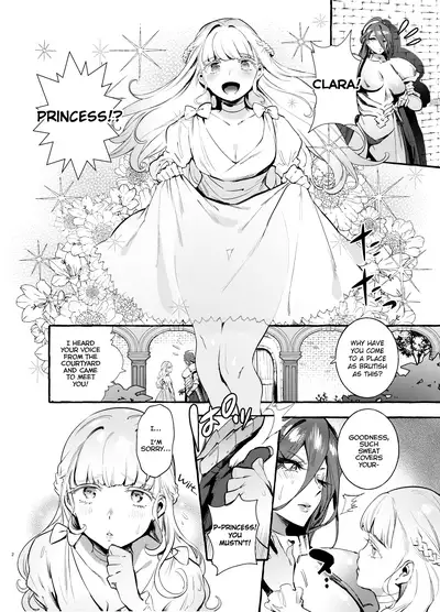 Ochinpo Onna Knight to Shojo Hime | The Princess and the Knight of the Dick