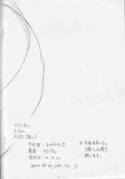 (Puniket 14) [Ogagaga-sou (Gatayan)] Radical Chemical Kashimashi Musume! (Demashita! Powerpuff Girls Z)