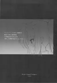 (C75) [Dieppe Factory (Alpine)] FATE FIRE WITH FIRE 2 (Mahou Shoujo Lyrical Nanoha)