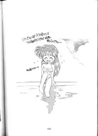 (CR16) [SAIRO PUBLISHING (J.Sairo)] Yamainu Volume.1 (Sailor Moon, Slayers)