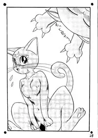 (C44) [Chimatsuriya Honpo (Asanagi Aoi)] THE SECRET OF Chimatsuriya Vol. 6 (Bishoujo Senshi Sailor Moon)