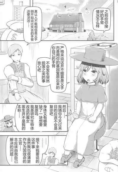 Daruma Hime Isshin Doutai