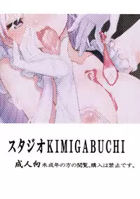 (AzuLan Musou 2) [Studio KIMIGABUCHI (Kimimaru)] Belfast no Joukyuu Shizai Seiri (Azur Lane)