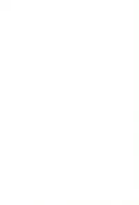 (C66) [glassfiber (Sanada Sin-ichi)] Gachi de Watashi to Koubi Shite Kudasai. (Fate/stay night)