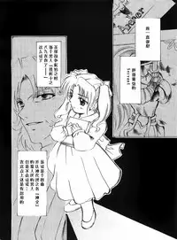 (Mimiket 10) [RED DATA BOOK (Amano Ryuuki)] Albireo (Fate stay night) [Chinese]