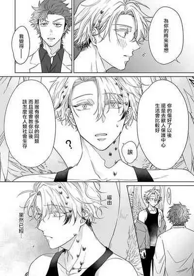 Fukurou no Koiwazurai | 猫头鹰的相思病