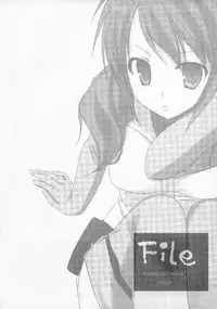 (C73) [Kokikko (Sesena Yau)] File (Kidou Senshi Gundam 00 [Mobile Suit Gundam 00])