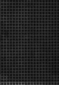 (SPARK8) [PureSlider., COLOR PALETTE (Matsuo, Shiho)] Ore x Mako (Free!) [English] [Togawa]