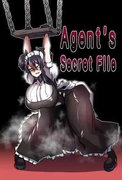 Agent's Secret File
