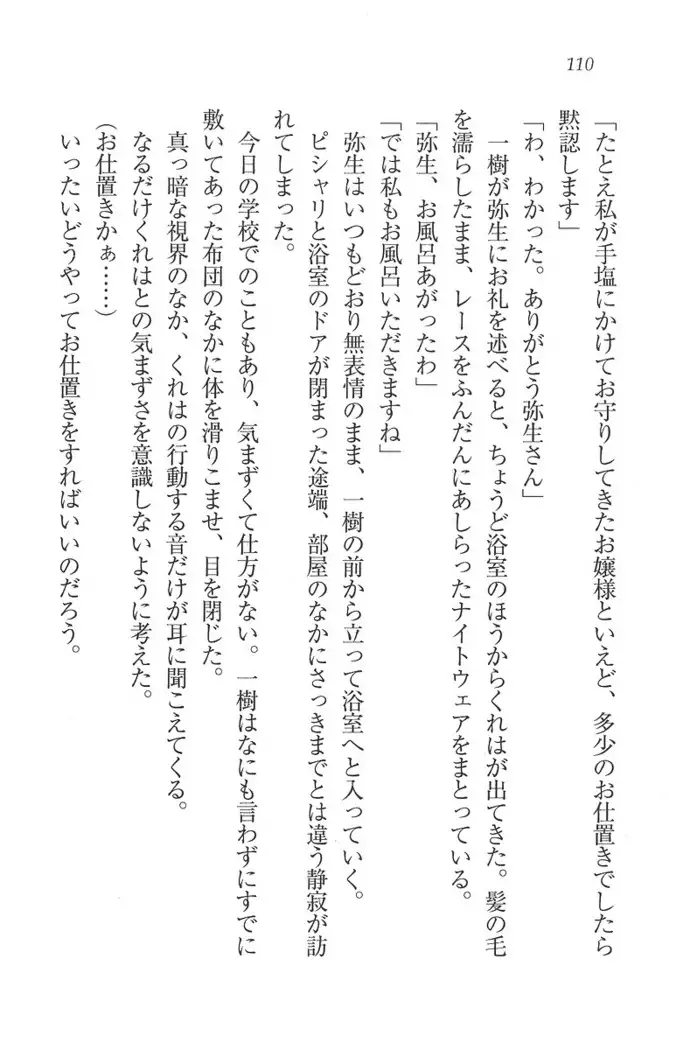 お嬢様はメイド様!？