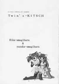 (CR36) [EKAKIGOYA NOTESYSTEM (Nanjou Asuka)] Twin's-KITSCH (Itazura Koneko Twins)