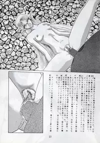 (C37) [Waku Waku Doubutsuen (Tennouji Kitsune)] Elf no Musume - Die Elfische Tochter (Record of Lodoss War)