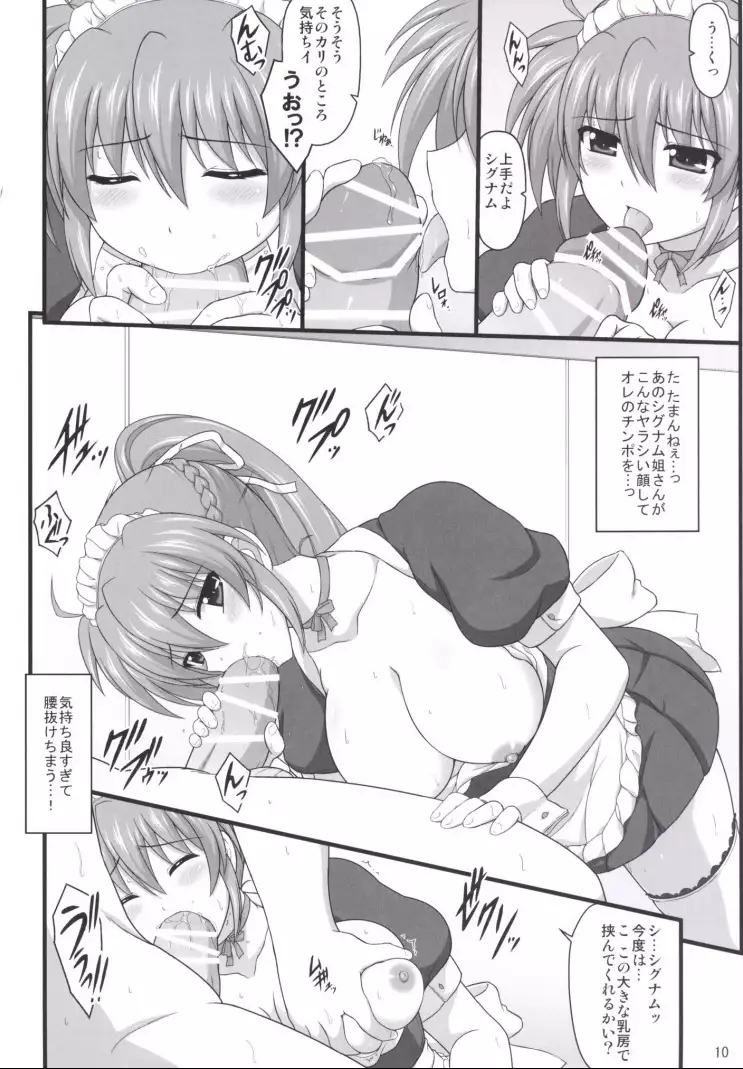 Rekka no Syou no Shitsukekata