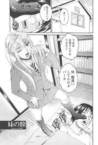 [Tamaki] Houjun Mango