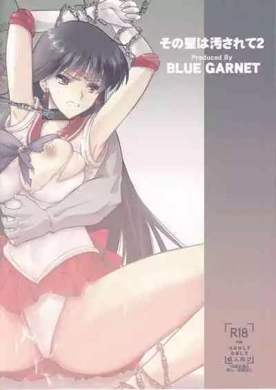 (C101) [BLUE GARNET (Serizawa Katsumi)] Sono Hoshi wa Kegasarete 2 (Bishoujo Senshi Sailor Moon)