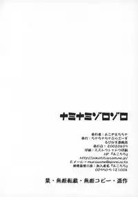 (C62) [Cha Cha Cha Brothers, Rupinasu Touzokudan (Yokoyama Chicha)] Naminami Zorozoro (One Piece)