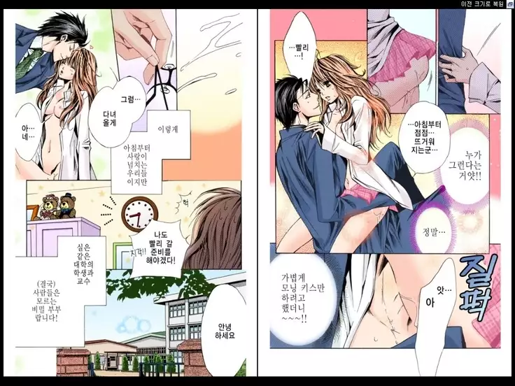 Naisho no Love Mariage | 비밀의 결혼