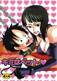 (C66) [PINK STAR (Urazawa Kaoru)] Kimi wa Pet (One Piece)