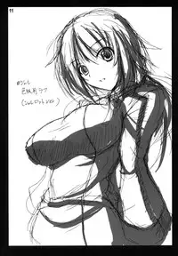 [Heaven'sIsen] Tonikaku Yamada Sensei ga Kawaii Kara Egaita Hon Nandesu. (Infinite Stratos)