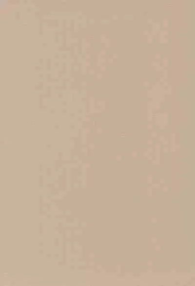 (C66) [Tenny Le Tai (R-Koga)] P-ZONE