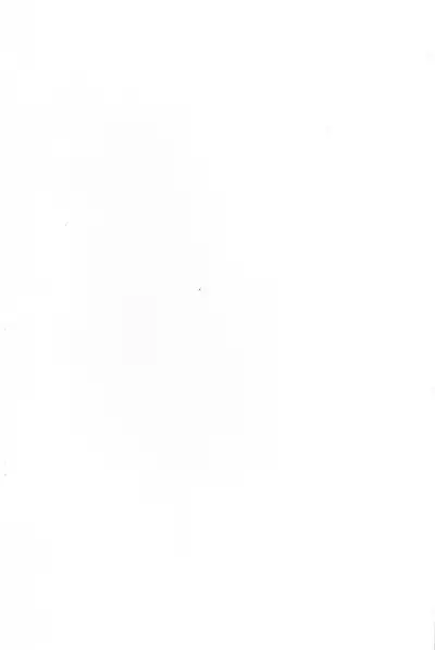 (C99) [Yamitsuki Honpo (Wise Speak)] Ryousai Oneshota Tamamo-chan | Good Oneshota Wife Tamamo-chan (Fate/EXTRA) [English] [ConTL]