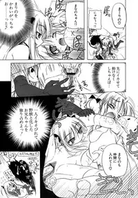 [Akazawa RED] Kupa Resort