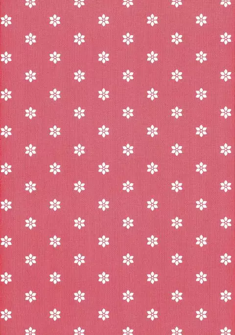 ぼくのせんせい