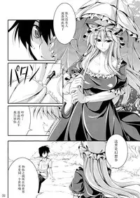 (C80) [Desuno!! (Fuyuwa Kotatsu)] Welcome to Wonder World (Touhou Project) [Chinese] [背景×新桥月白日语社]