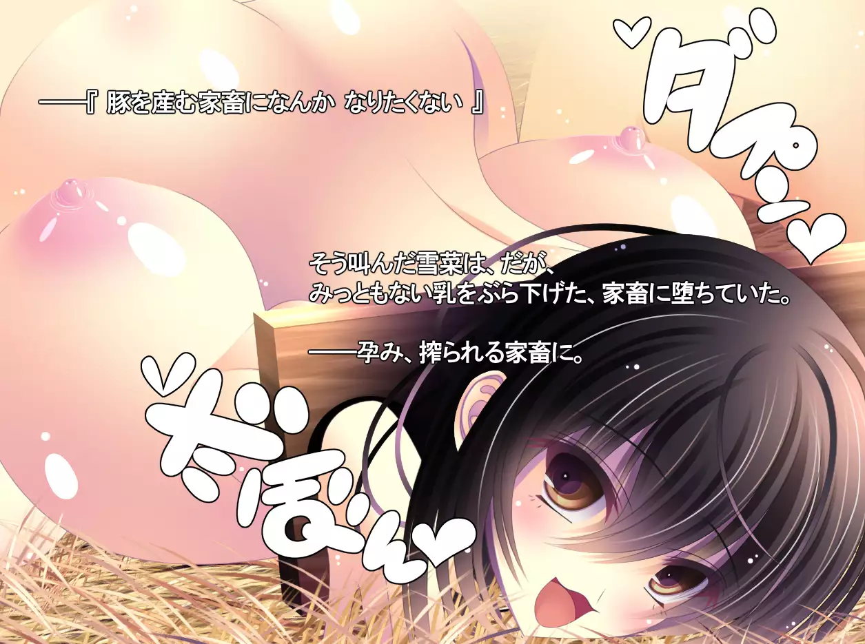 yabure, bakunyu chochichi naedoko ni, benki ni Daraku To sa reru hiroin!~ Hime ￮ setsuna ~