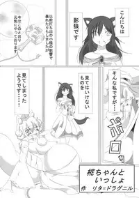 (Reitaisai 16) [HORIC WORKS Shuppan Jigyoubu Shiodome project (Various)] Touhou Bouchou-kei Sougou Goudou-shi `Boujo Final!!!!!!!!' (Touhou Project)