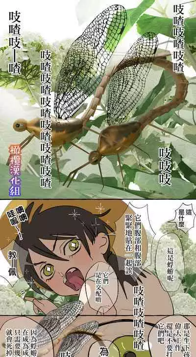 [Deltapo] 5-juu Jinkaku no Hanayome ~Tajuu Jinkaku x Seishinkai x Kankin~ | 拥有5重人格的新娘~多重人格x精神科医生x监禁~ [Chinese] [橄榄汉化组]