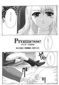 Promesse III Yakusoku no Toki Kanketsuhen Kouhen