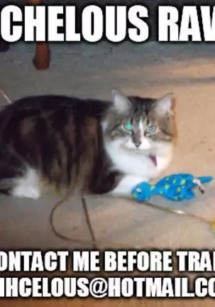 Katsu x Gudako x Katsu