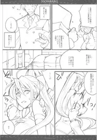 (C79) [VM500 (Kome)] XIOMBARG Preview ver (Mahou Shoujo Lyrical Nanoha)