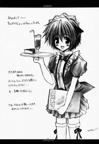 (CR27) [CHRONOLOG (Kanaru Fujimiya, Sakurazawa Izumi)] HONEY (Shin Megami Tensei if...)