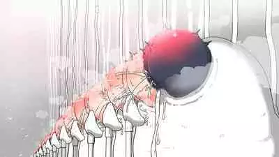 jidō ningyō meikyū tansaki | Maze exploration record of an automaton