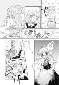 (C74) [Shoujo Zukin (Hatomugi Munmun)] Marecollect (Touhou Project)