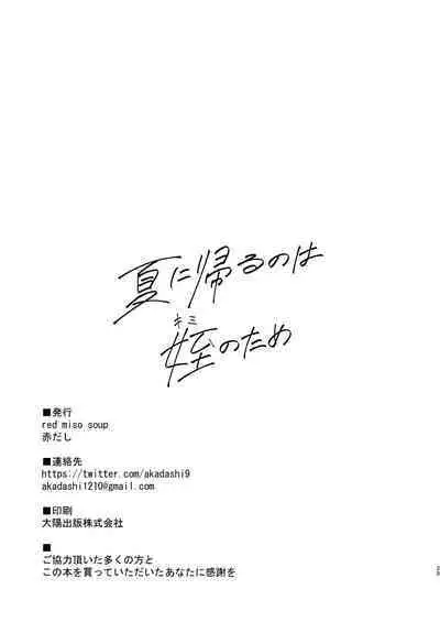 (C101) [red miso soup (akadashi)] Natsu ni Kaerunowa Kimi no Tame [Digital]