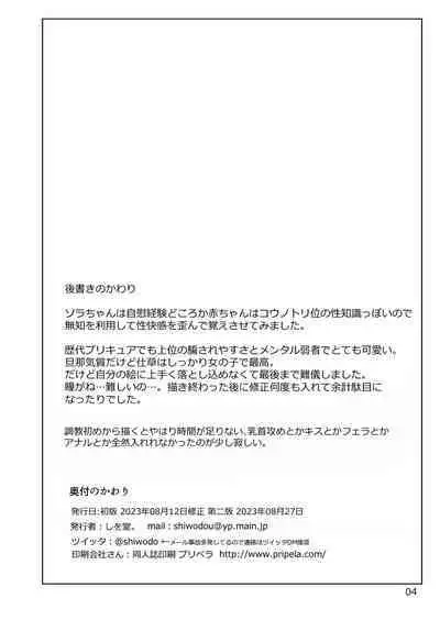 Precure Sora-chan Choukyou Ehon