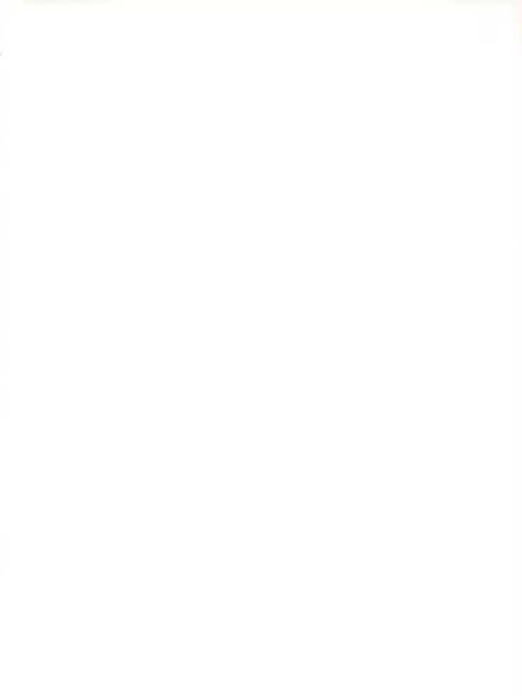 Sunao na Onee-sama wa Suki desu ka?