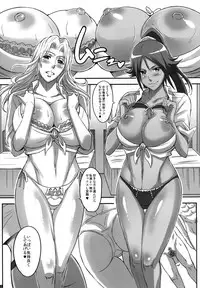 (C81) [Diogenes Club (Haikawa Hemlen)] BRICOLA Soushuuhen (BLEACH) [Digital]