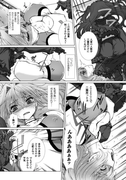 Hengen Souki Shine Mirage THE COMIC with graphics from novel