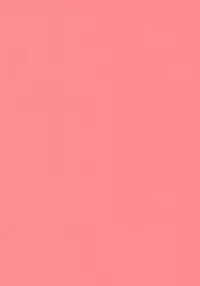 (Mou Nanimo Kowakunai 13) [Nedaore (Ayane)] Matometa no. (Puella Magi Madoka Magica)