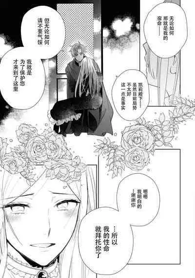 Minarai goei kishi to ōjo no himegoto | 见习护卫骑士和王女的秘事