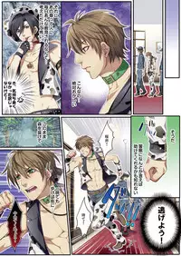 [Kairi] Osuchichi ☆ 801 bokujou de Sakunyuu Taiken [Digital]