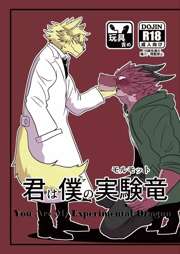 You are My Experimental Dragon | Kimi wa Boku no Jikken Ryu