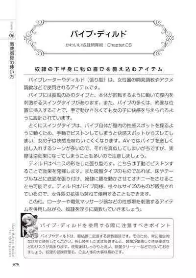 Zero kara Hajimeru SM Manual Kawaii Dorei Shiikujutsu