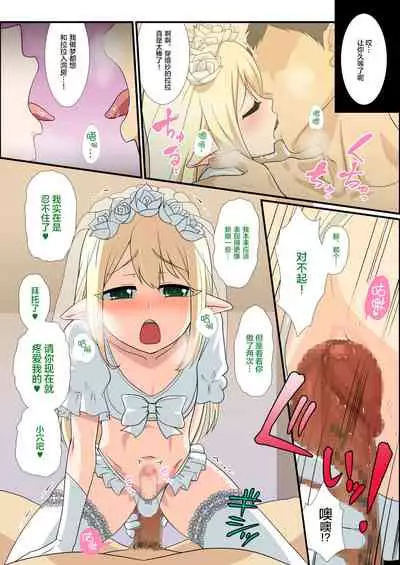 Itsuka Otokonoko Elf-tachi ga Wagaya ni Kitara