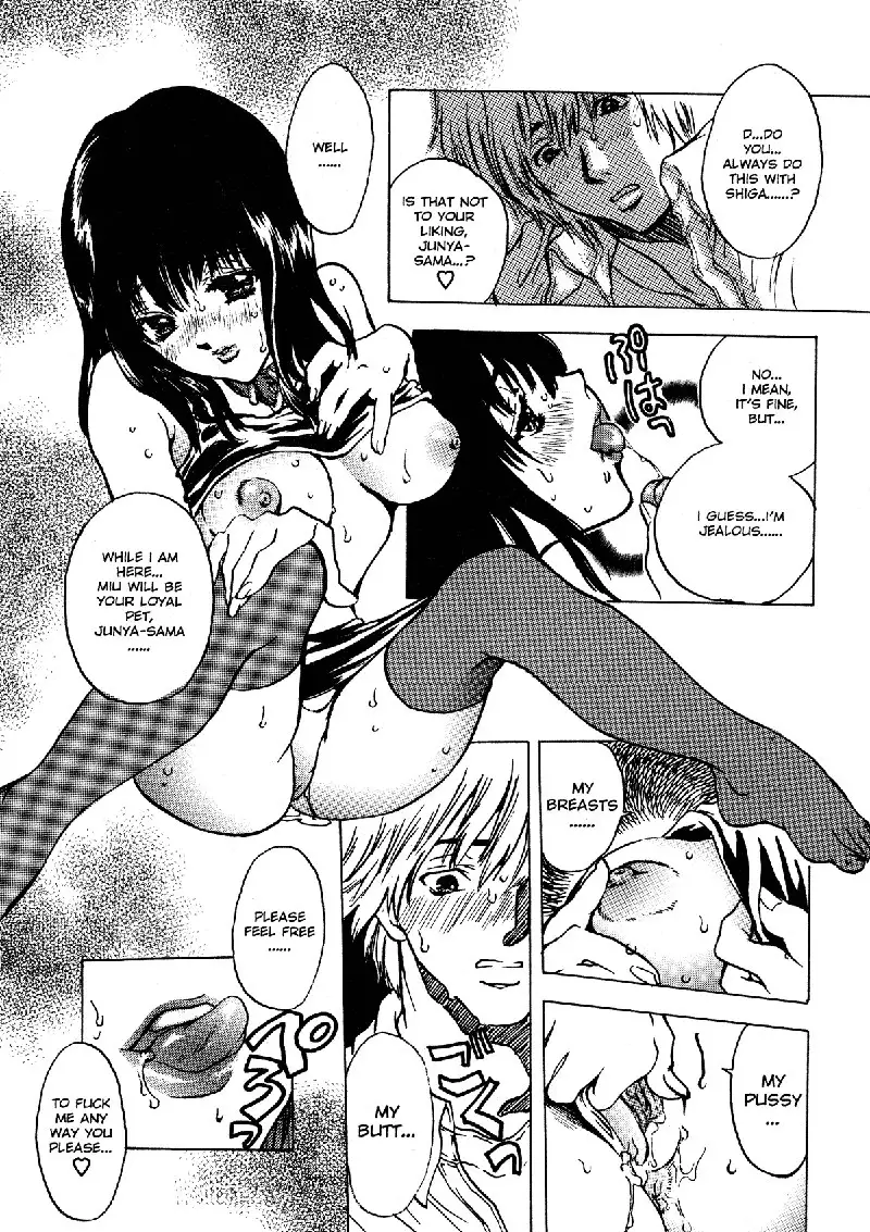 Extract 4 - Pet Diaries